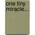 One Tiny Miracle...