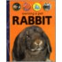 Owning a Pet Rabbit