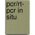 Pcr/rt- Pcr In Situ