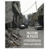 Palestine in Pieces