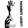 Passionate Lucidity by Quillan