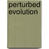 Perturbed Evolution