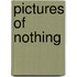 Pictures Of Nothing