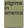 Pilgrims in America door L.L. Owens