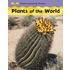 Plants Of The World