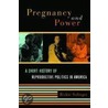 Pregnancy And Power door Rickie Solinger