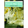 Pressed Flint Glass by Raymond Notley