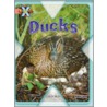 Proj X:my Fam Ducks by Alex Lane