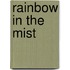 Rainbow in the Mist