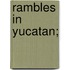 Rambles in Yucatan;