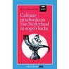 Cultuurgeschiedenis van Nederland in vogelvlucht door H.A.E. van Gelder