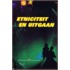 Etniciteit en uitgaan