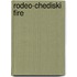 Rodeo-Chediski Fire