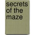Secrets Of The Maze