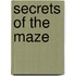 Secrets Of The Maze
