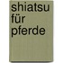 Shiatsu für Pferde