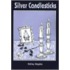 Silver Candlesticks