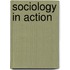 Sociology in Action
