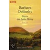 Sturm am Lake Henry door Barbara Delinsky