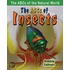 The Abcs Of Insects