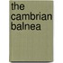 The Cambrian Balnea