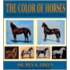 The Color of Horses