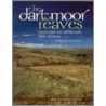 The Dartmoor Reaves door Andrew Fleming