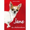Jane de chihuahua
