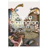 The Hearing Trumpet door Leonora Carrington
