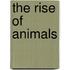 The Rise Of Animals