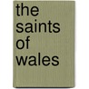 The Saints of Wales door Graham Jones