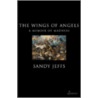 The Wings Of Angels by Sandy Jeffs