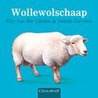 Wollewolschaap by Elly van der Linden