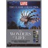 The Wonders of Life