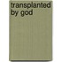Transplanted By God