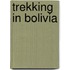 Trekking In Bolivia
