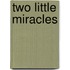 Two Little Miracles