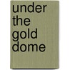 Under the Gold Dome by Judge Robert Satter
