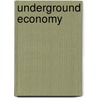 Underground Economy door Sudhir Venkatesh