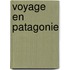 Voyage En Patagonie