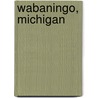 Wabaningo, Michigan door Miriam T. Timpledon