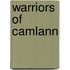 Warriors Of Camlann