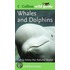 Whales and Dolphins