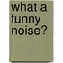 What A Funny Noise?