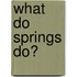 What Do Springs Do?