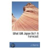 What Will Japan Do? door J. Morris