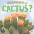 What's In A Cactus?