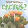 What's In A Cactus? by Tracy Nelson Maurer