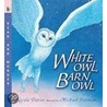 White Owl, Barn Owl door Nicola Davies