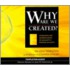 Why Are We Created?
